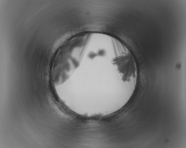 X0000113200682200910081252