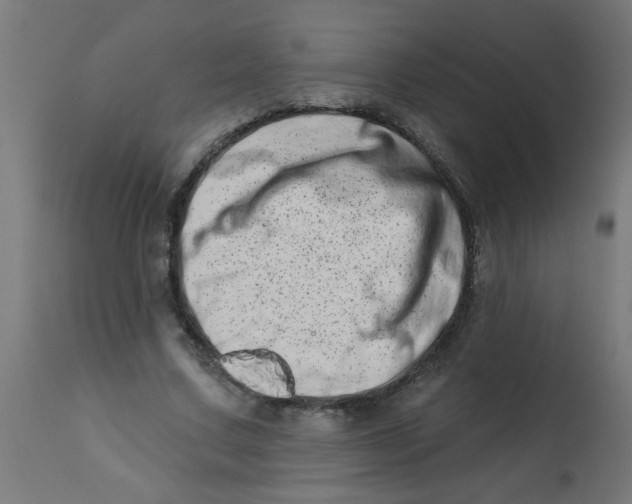 X0000113200683200910081252