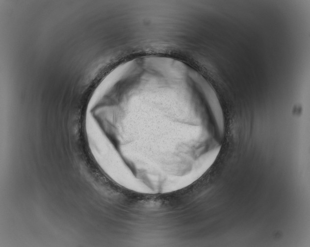 X0000113200687200910081252