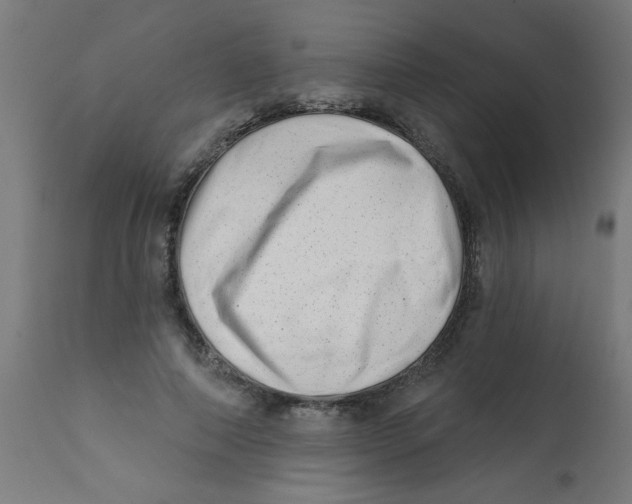 X0000113200690200910081252