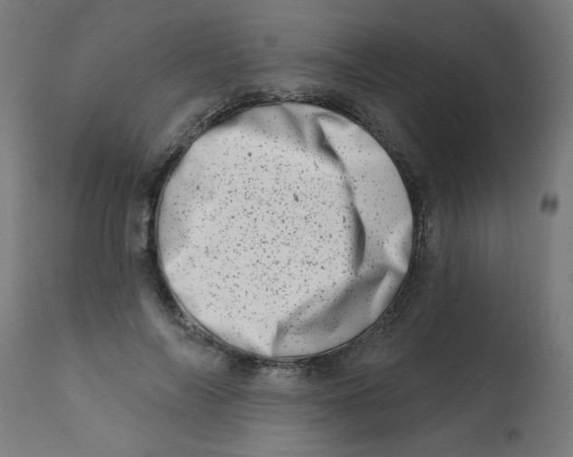 X0000113200694200910081252
