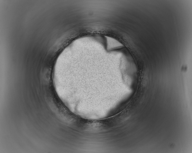 X0000113200695200910081252