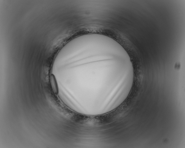 X0000113200696200910081252