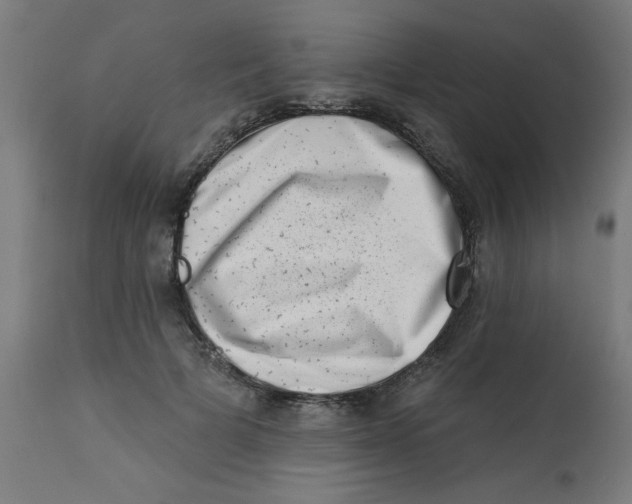 X0000113200697200910081252