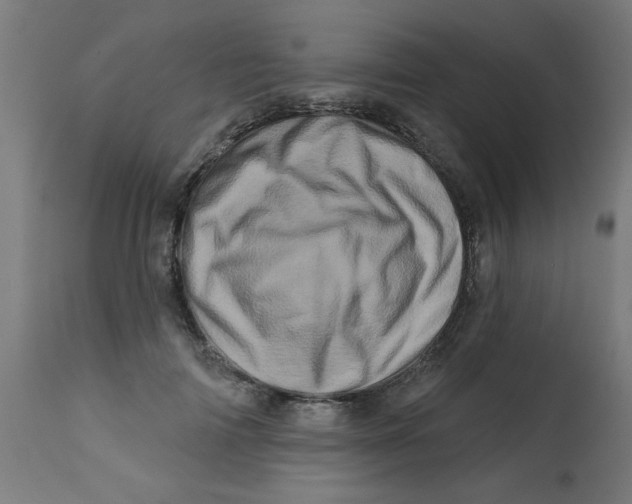 X0000113200698200910081252