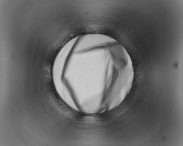 X0000113200699200910081252