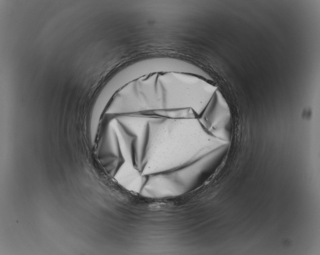X0000113200700200910081252