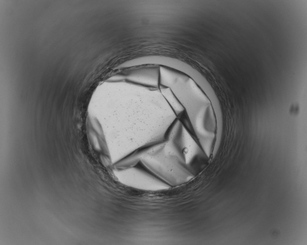 X0000113200701200910081252