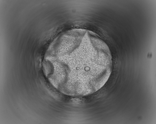 X0000113200703200910081252