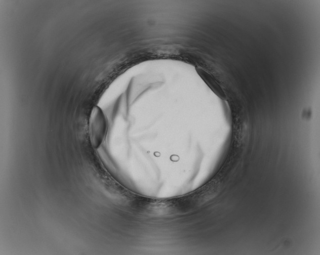 X0000113200704200910081252