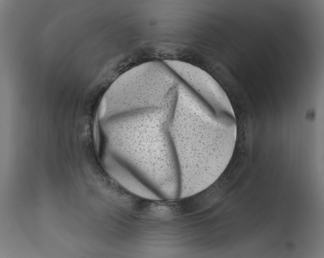 X0000113200706200910081252