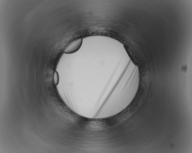 X0000113200708200910081252
