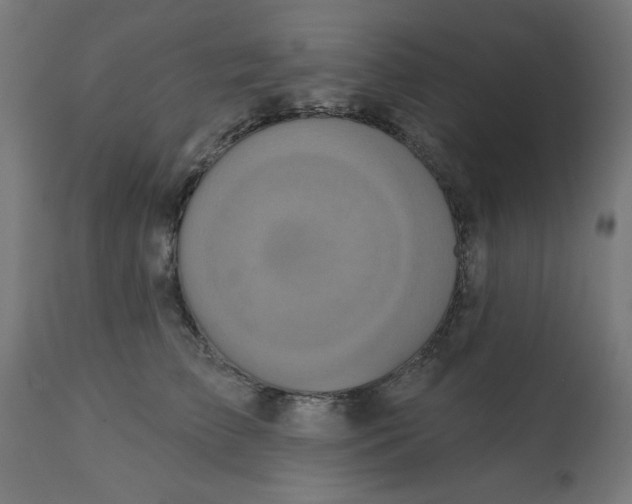 X0000113200709200910081252