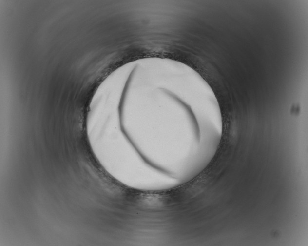X0000113200710200910081252
