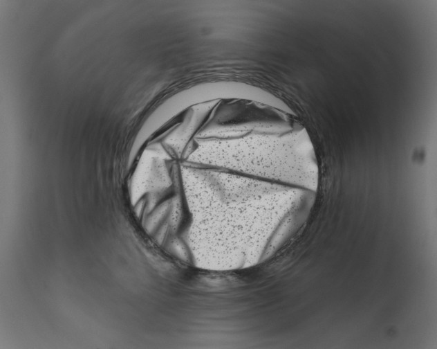 X0000113200712200910081252