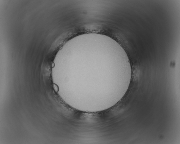 X0000113200713200910081252