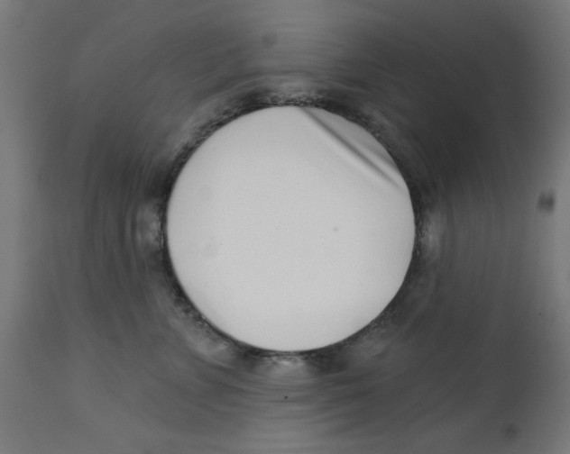 X0000113200715200910081252