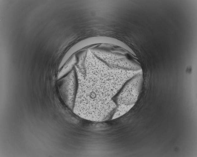 X0000113200716200910081252