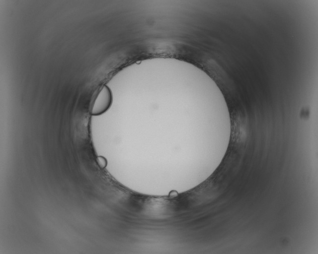 X0000113200717200910081252