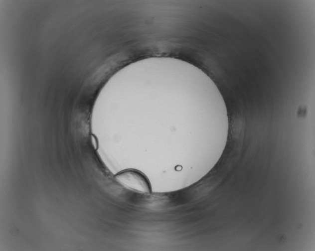 X0000113200719200910081252