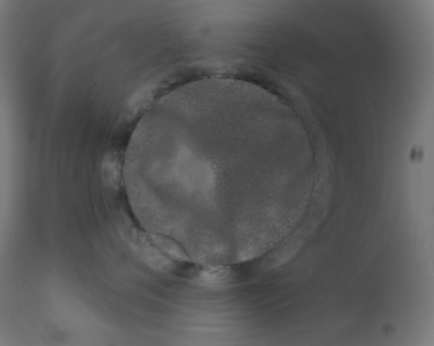 X0000113200720200910081251