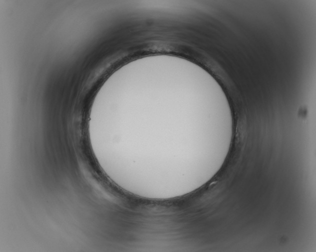X0000113200722200910081251