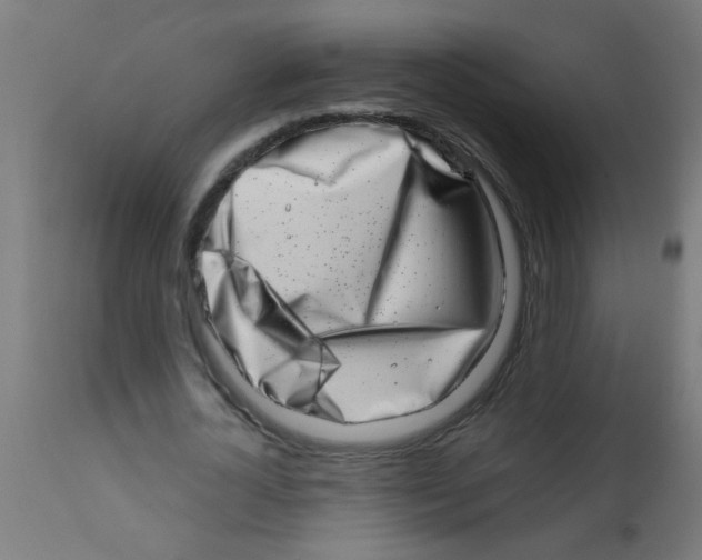 X0000113200724200910081251