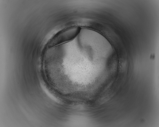 X0000113200726200910081251