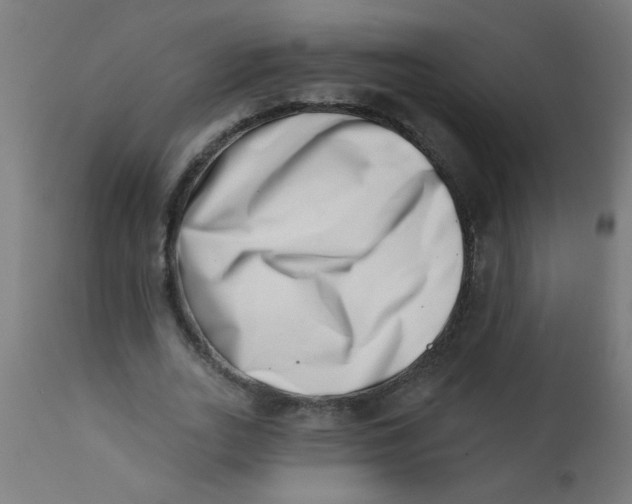 X0000113200727200910081251