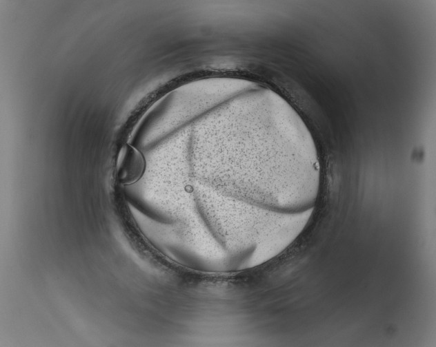X0000113200728200910081251