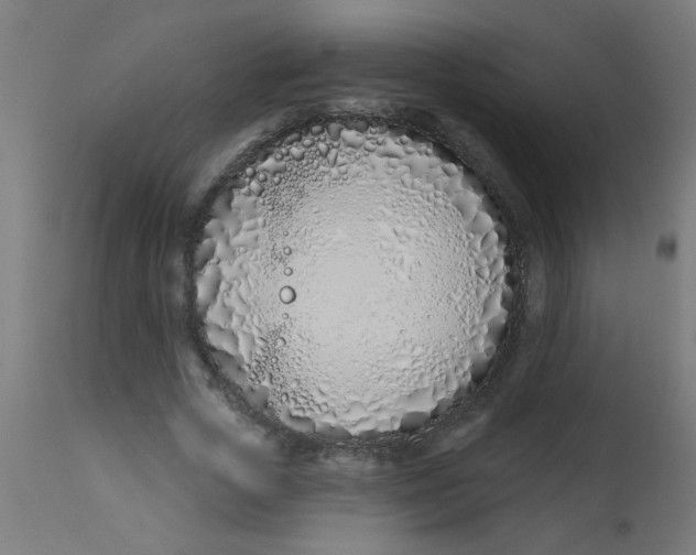 X0000113200729200910081251