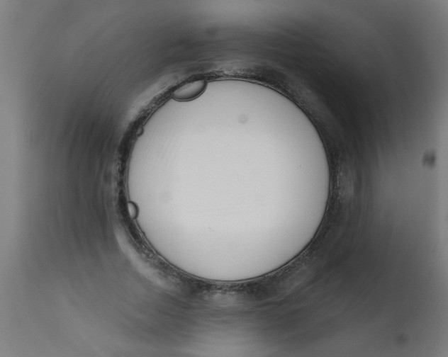 X0000113200730200910081251