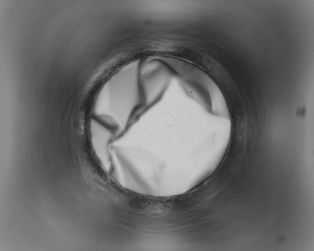 X0000113200731200910081251