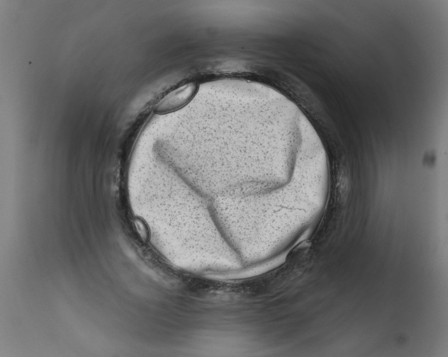 X0000113200732200910081251