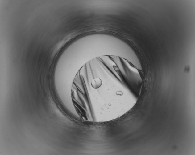 X0000113200734200910081251
