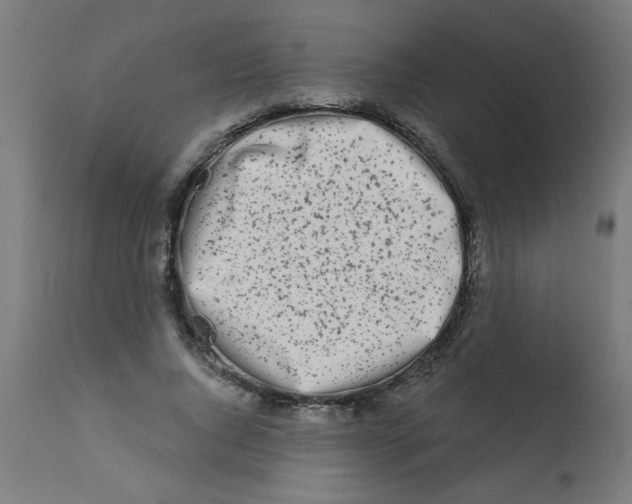 X0000113200736200910081251