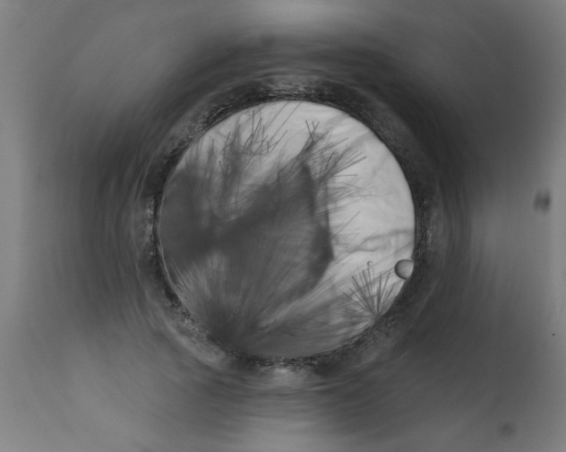 X0000113200737200910081251