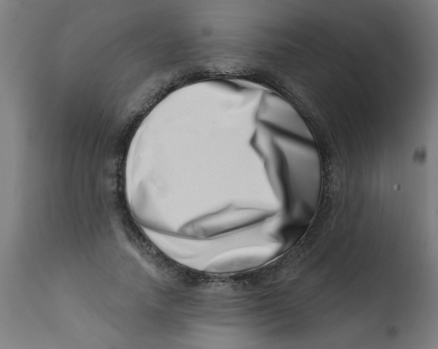 X0000113200738200910081251