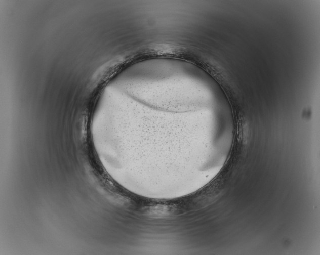 X0000113200740200910081251