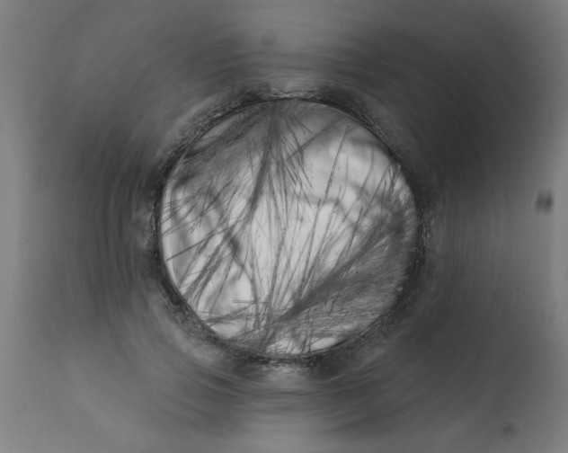 X0000113200741200910081251