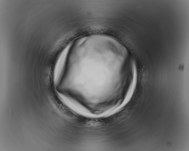 X0000113200742200910081251