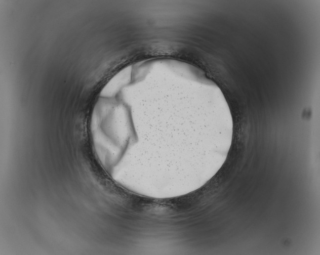 X0000113200743200910081251