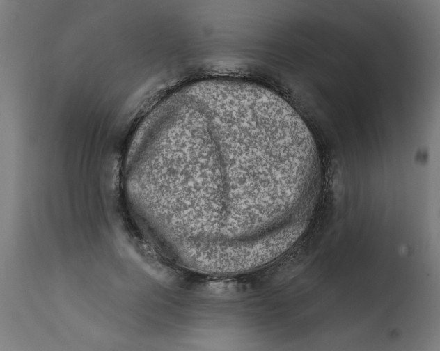 X0000113200744200910081251