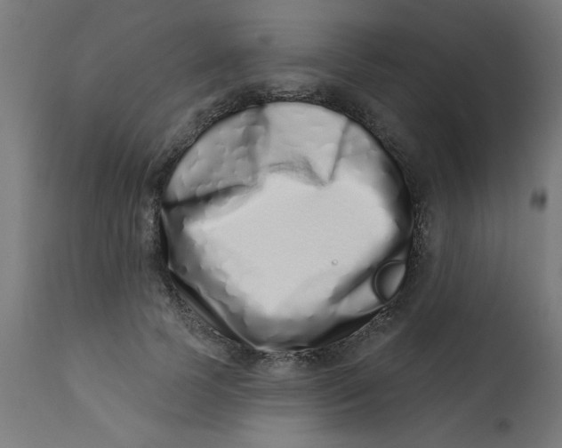 X0000113200745200910081251