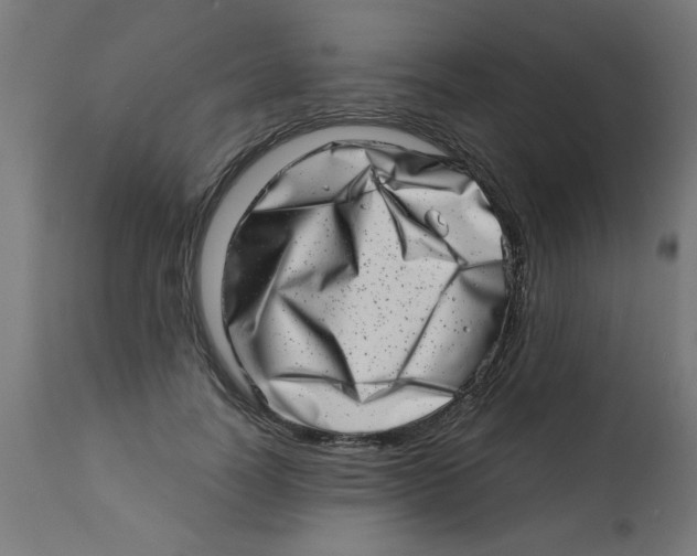 X0000113200746200910081251