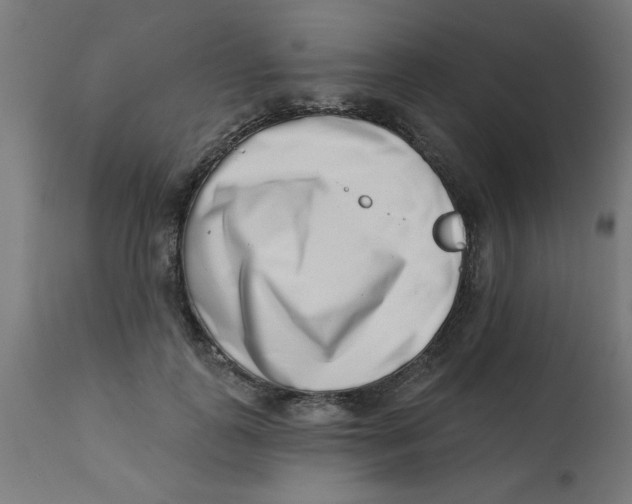 X0000113200747200910081251