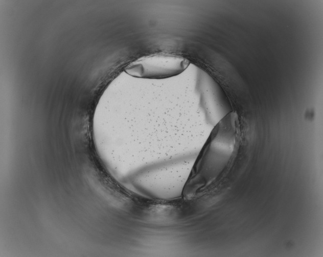 X0000113200748200910081251