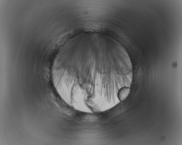 X0000113200749200910081251