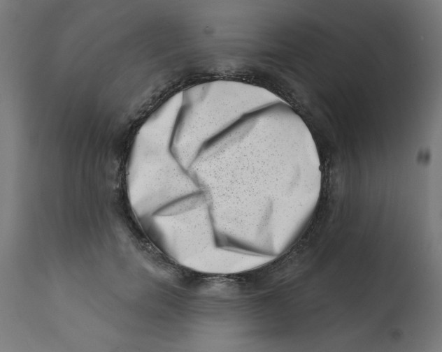 X0000113200750200910081251