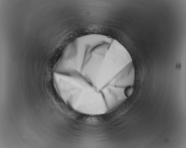 X0000113200751200910081251